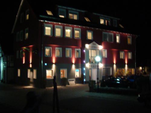 Gasthaus Traube Dettingen an der Erms ภายนอก รูปภาพ